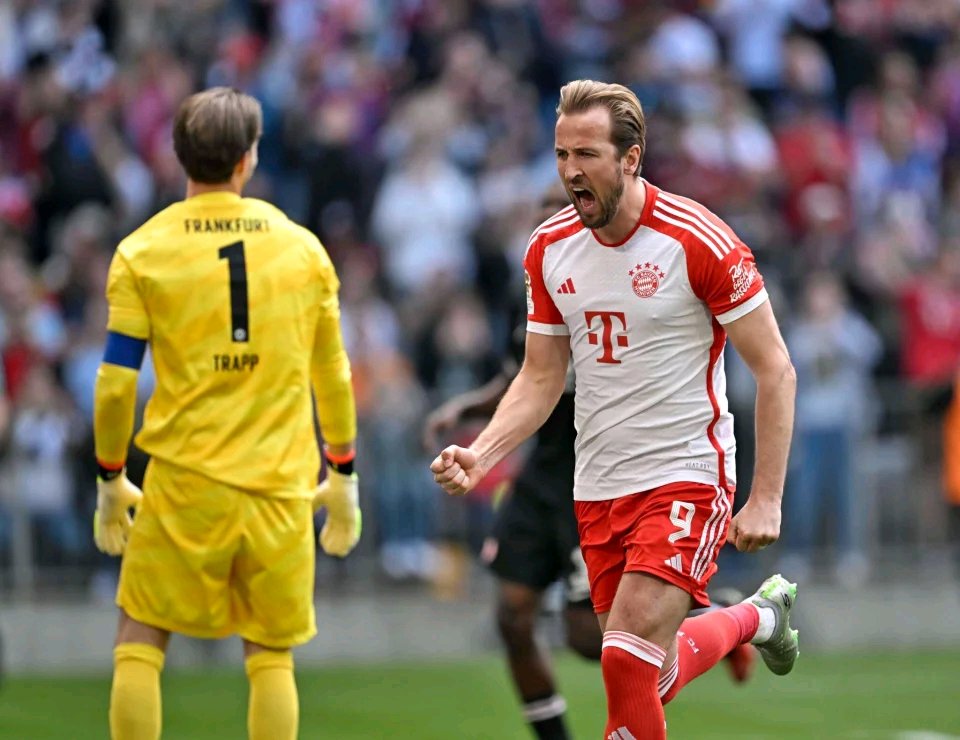 九游娱乐入口-关于雄鹿队主力球员出色表现，连战连胜领先积分榜的信息