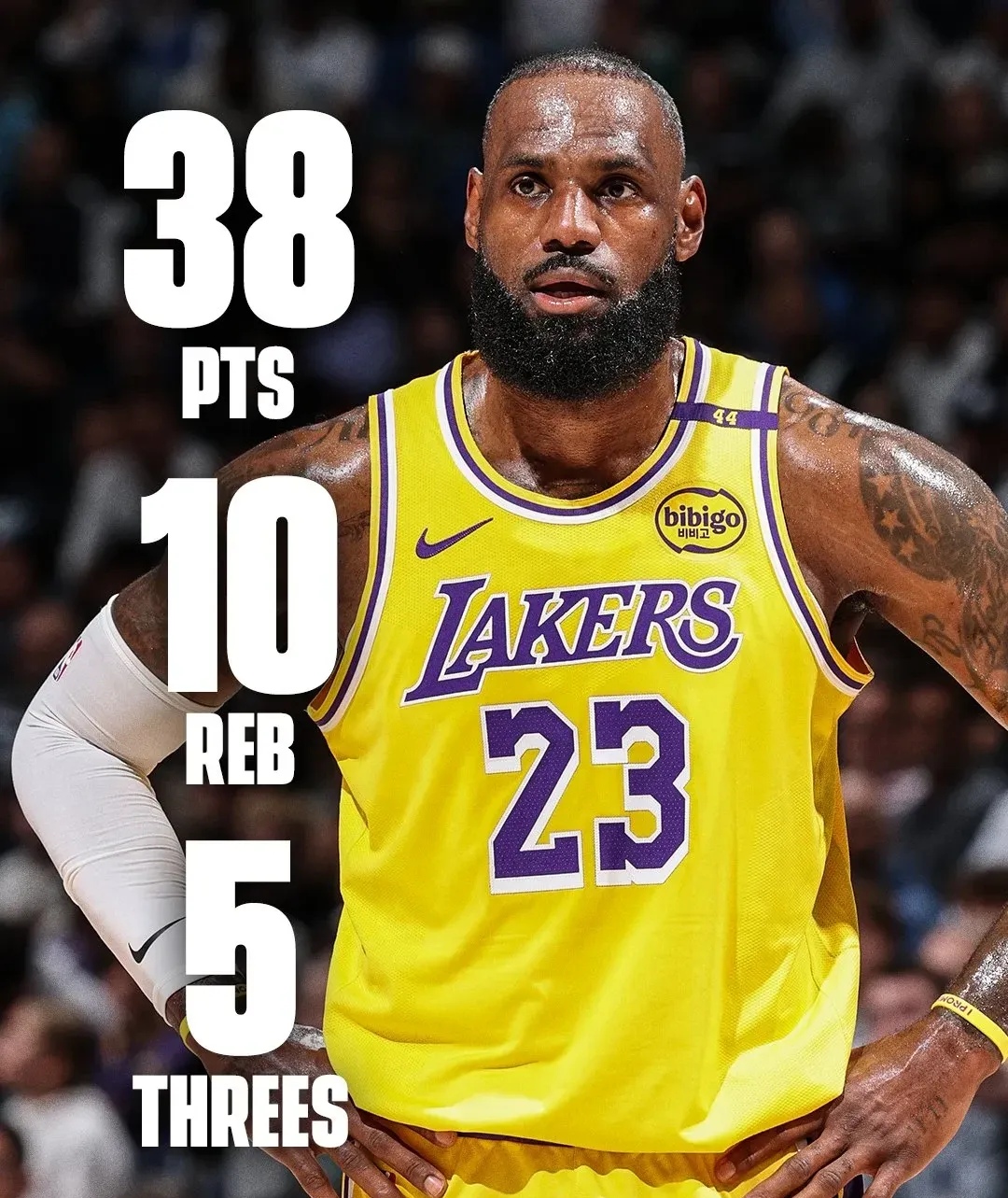 9you娱乐-詹姆斯再次上演绝杀，湖人队豪取胜利的简单介绍