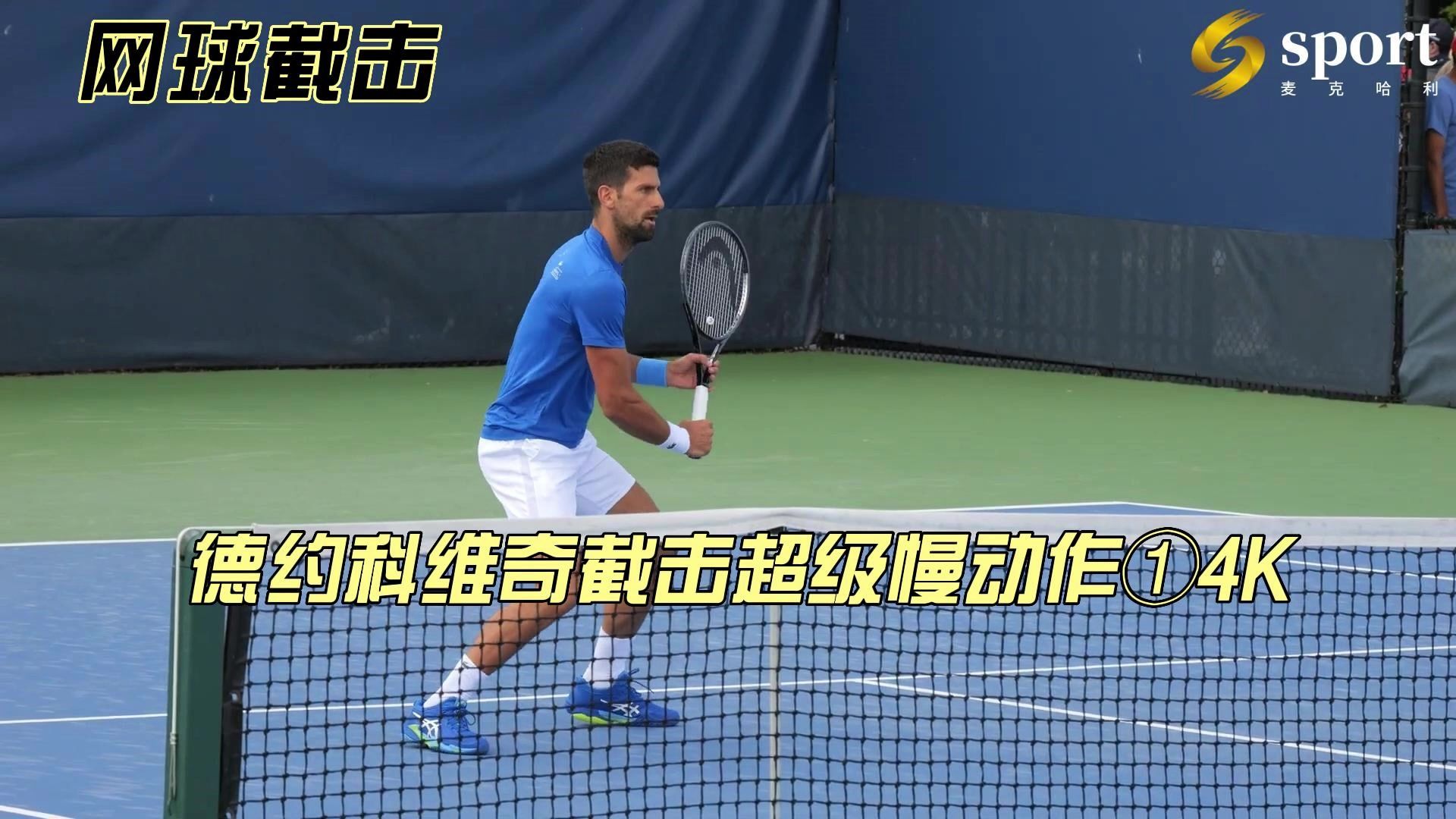 包含意大利网球队血洗澳大利亚网球队，德约科维奇送出助攻的词条