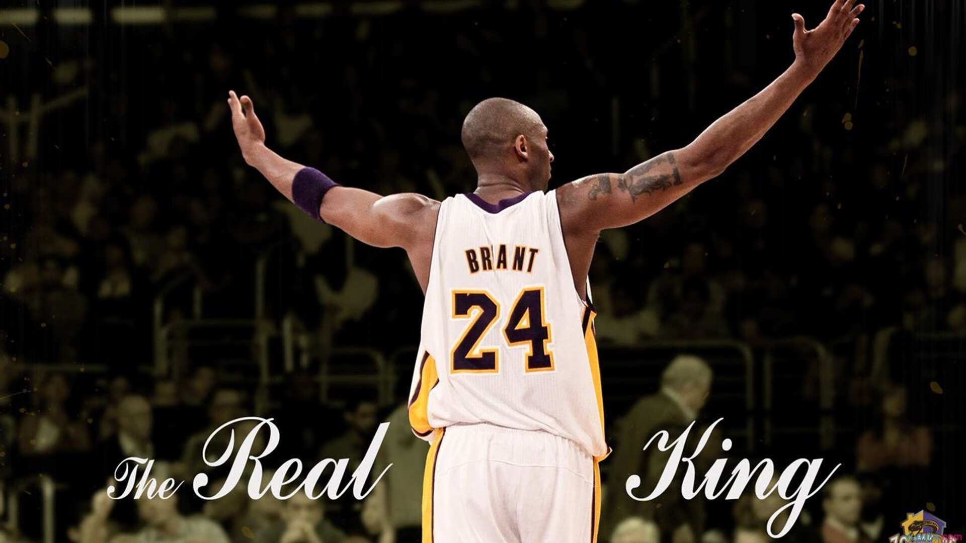 九游体育-终局绝杀，当F1争冠的轮胎烧进黄蜂的蜂巢—一场跨维度的时间复仇