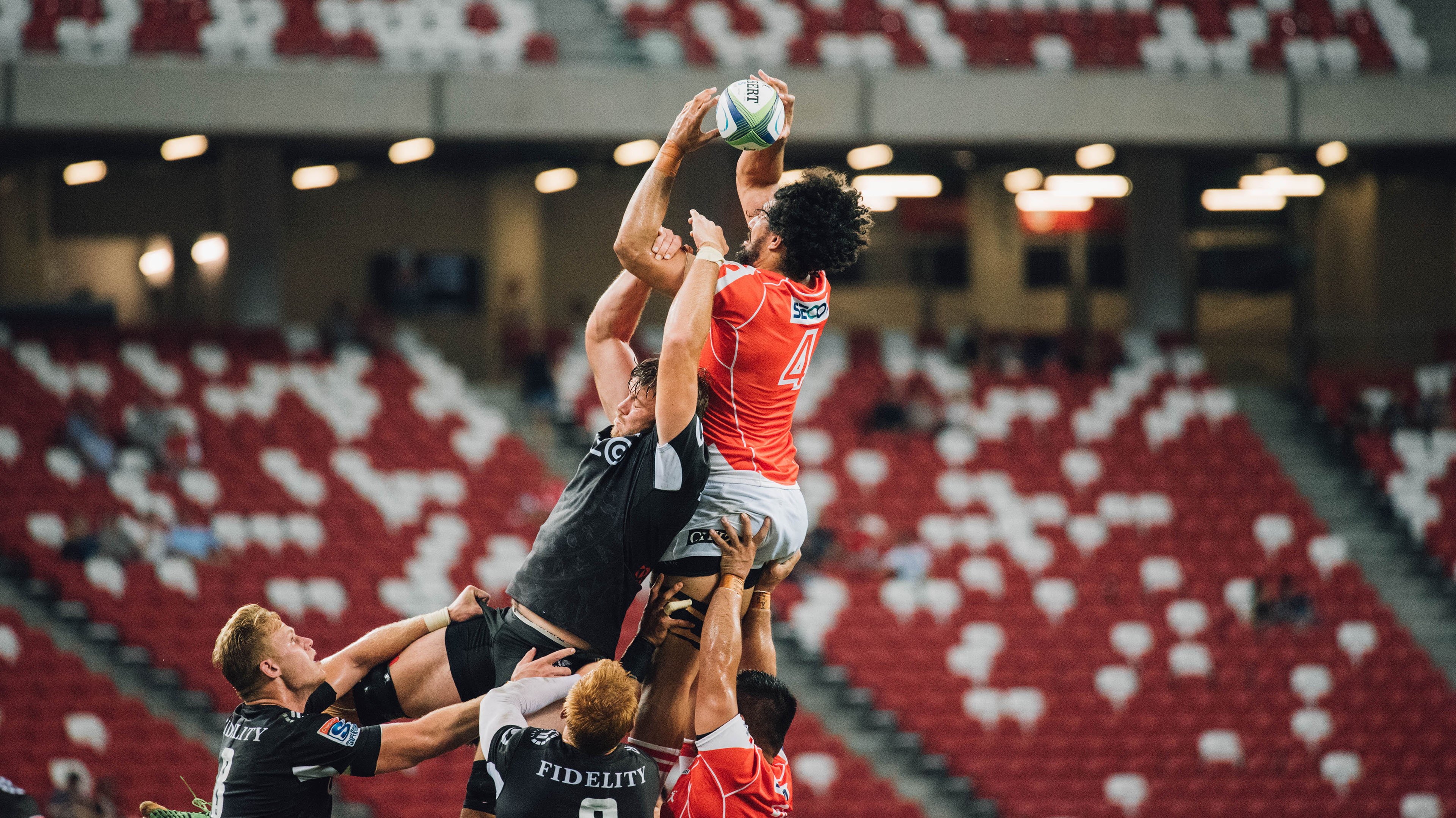 九游体育直播-篮球圣殿与森林秘径，两个世界的冠军心跳